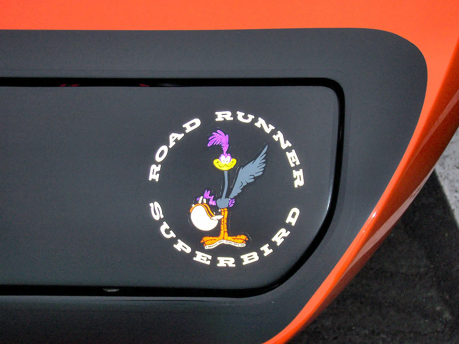 top-7-loai-decal-pho-bien-hien-nay